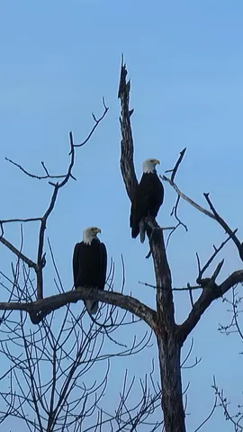 $495,000 | 165 Old Stage Road, Norway, ME 04268