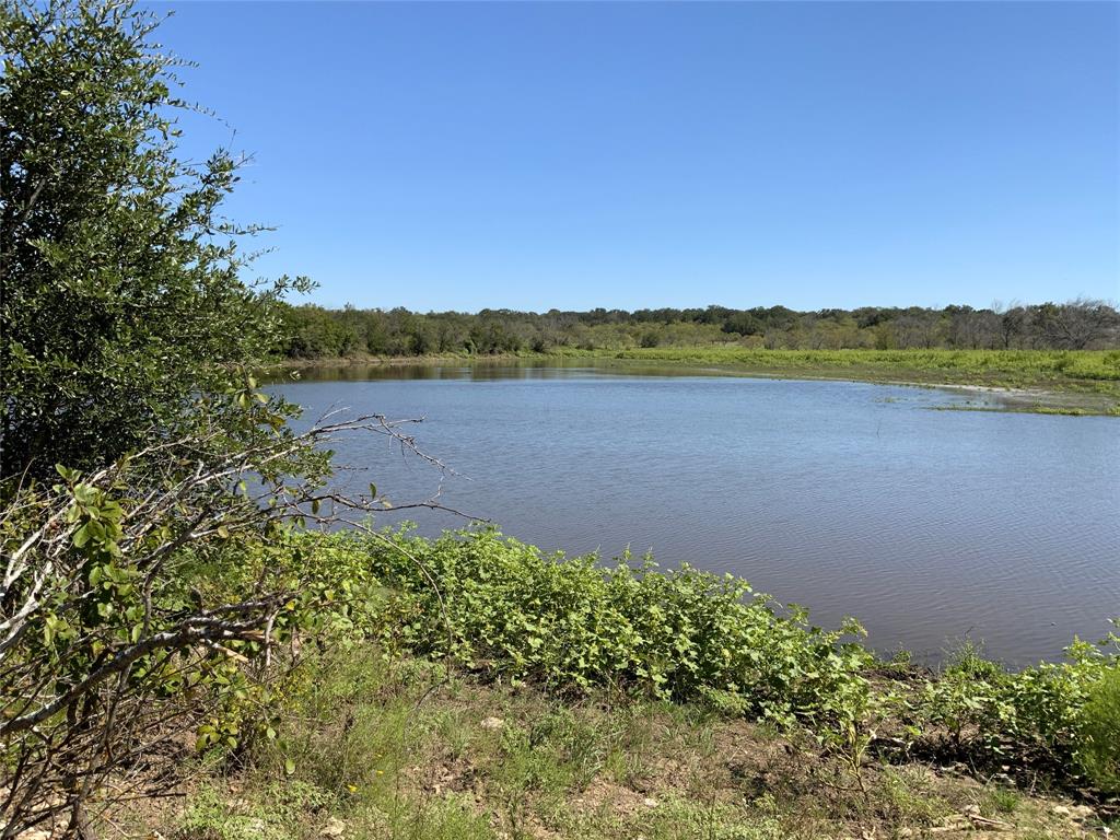 Tbd Tbd Fm-2486 Gustine, TX 76455 - Photo 6 of 17