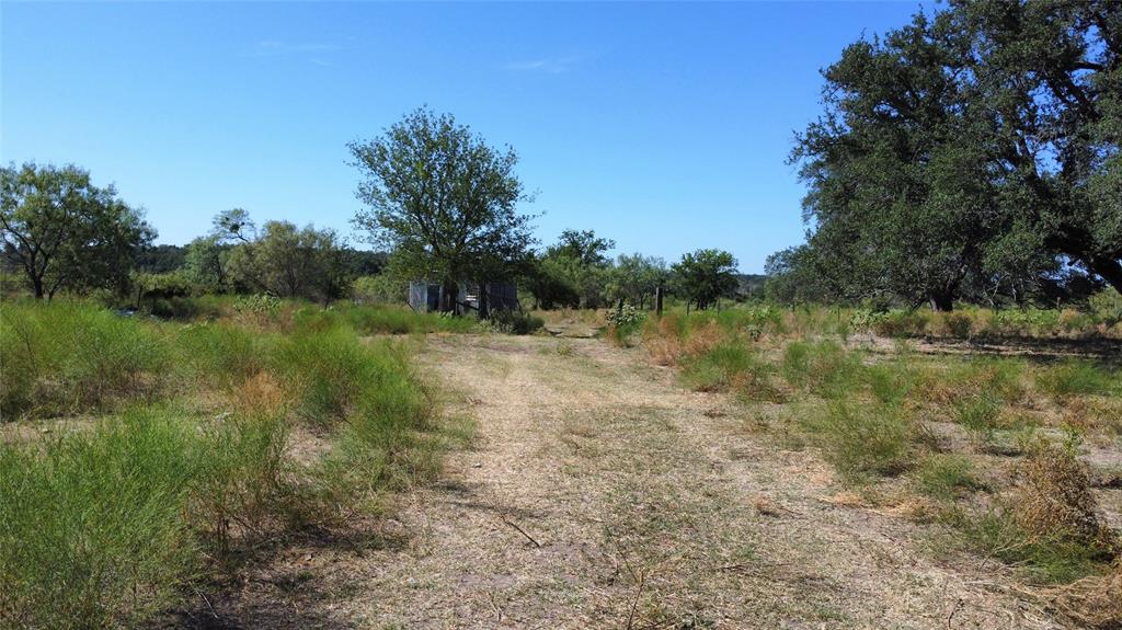 Tbd Tbd Fm-2486 Gustine, TX 76455 - Photo 9 of 17