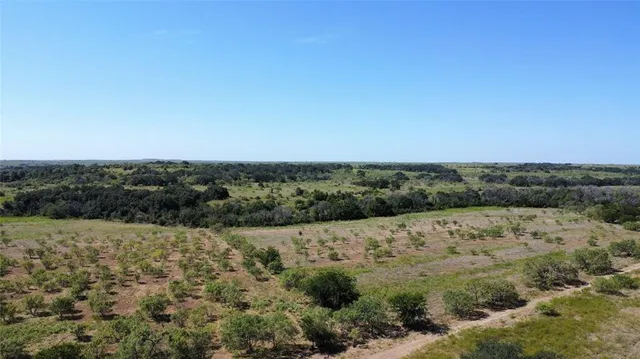 $1,675,000 | Tbd Tbd Fm-2486, Gustine, TX 76455