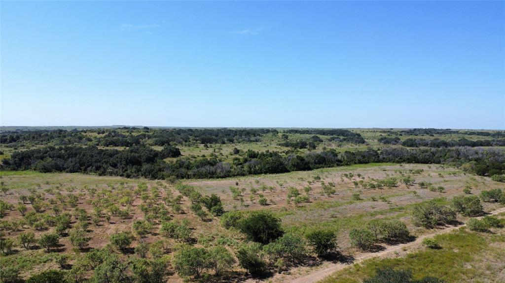 Tbd Tbd Fm-2486 Gustine, TX 76455 - Photo 10 of 17