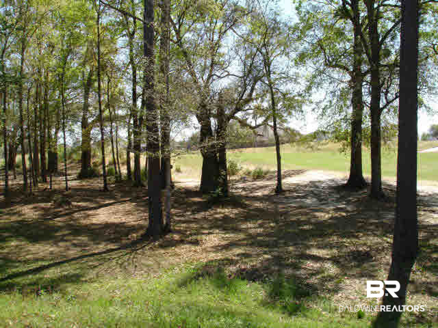 2 County Road 20 Foley, AL 36535 - Photo 2 of 17 East Golf CourseView