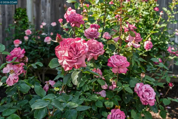 $1,750,000 | 152 Tharp Drive, Moraga, CA 94556