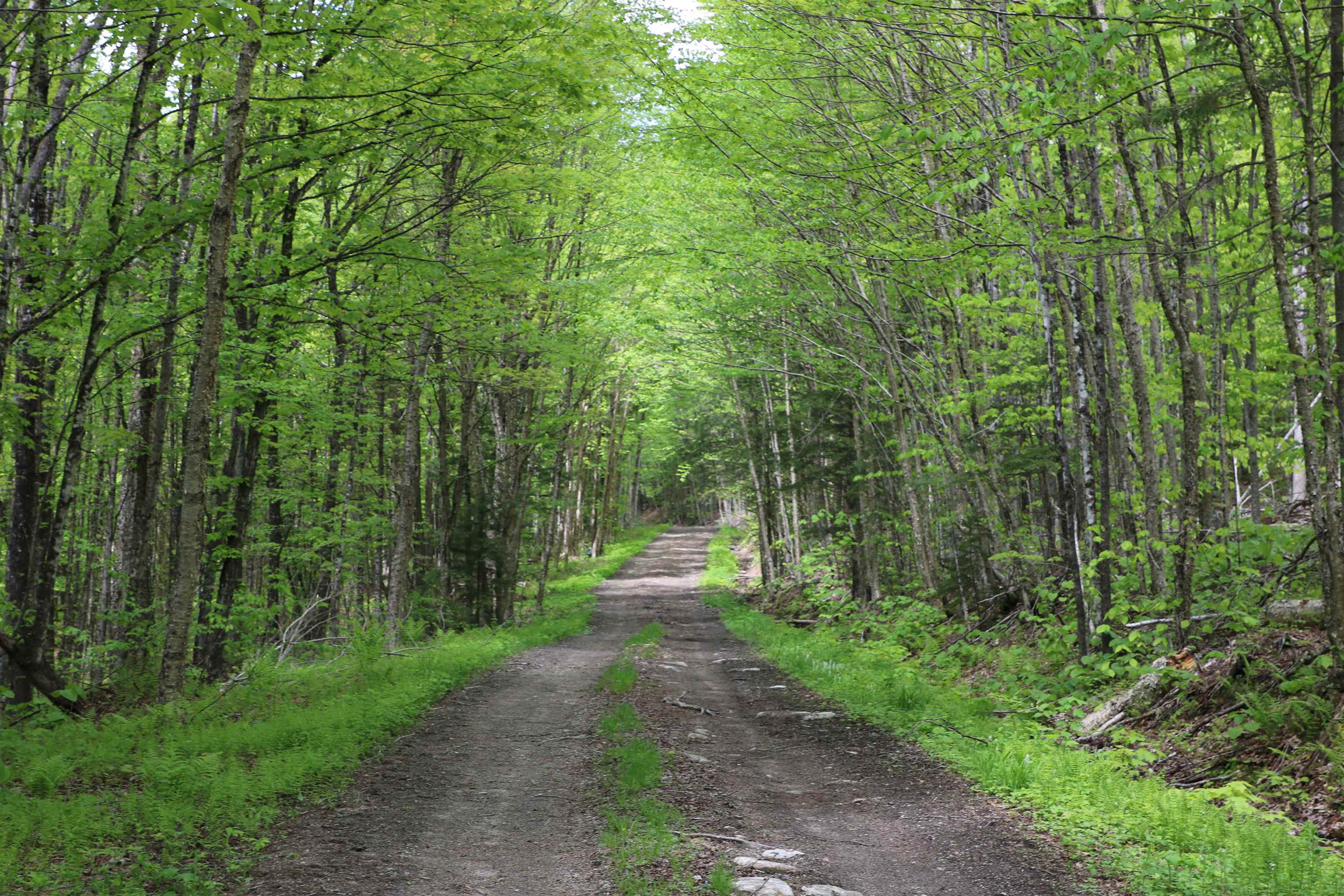 2448 Lost Nation Road East Haven, VT 05837 - Photo 23 of 27