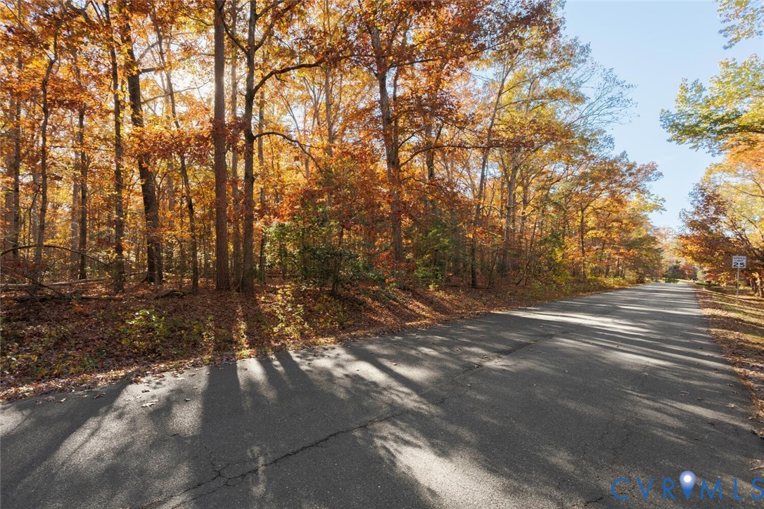 Lot 2 Maidens Road Maidens, VA 23102 - Photo 35 of 35 View of asphalt street with a wooded view