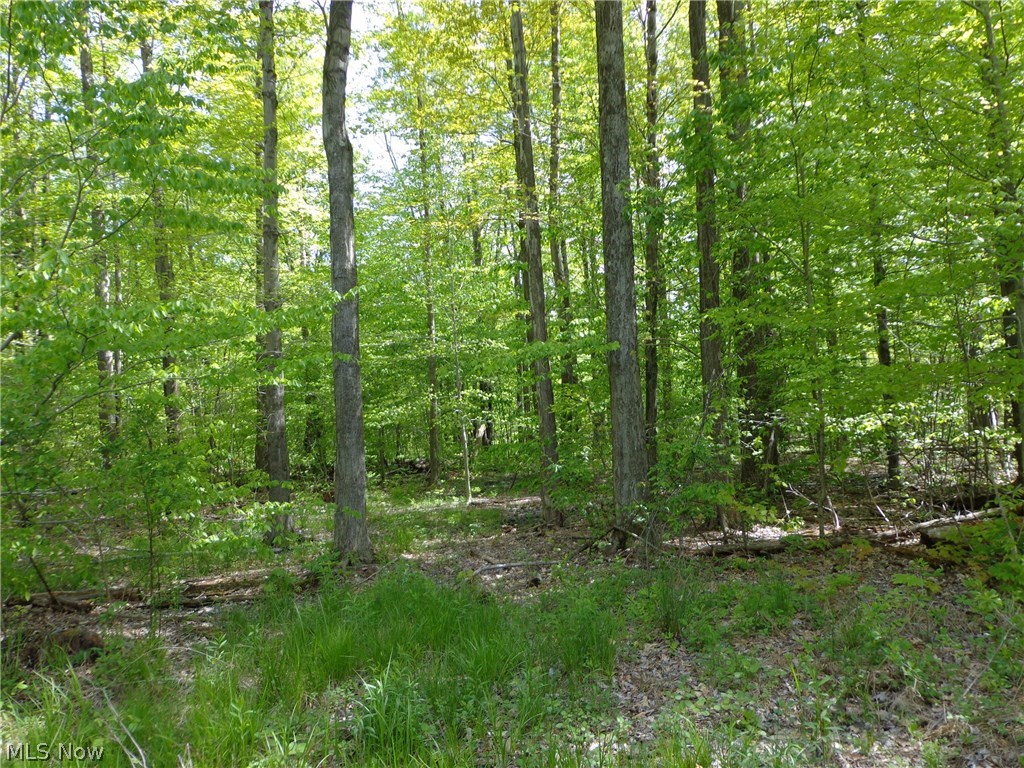11460 Clark Road Chardon, OH 44024 - Photo 7 of 8