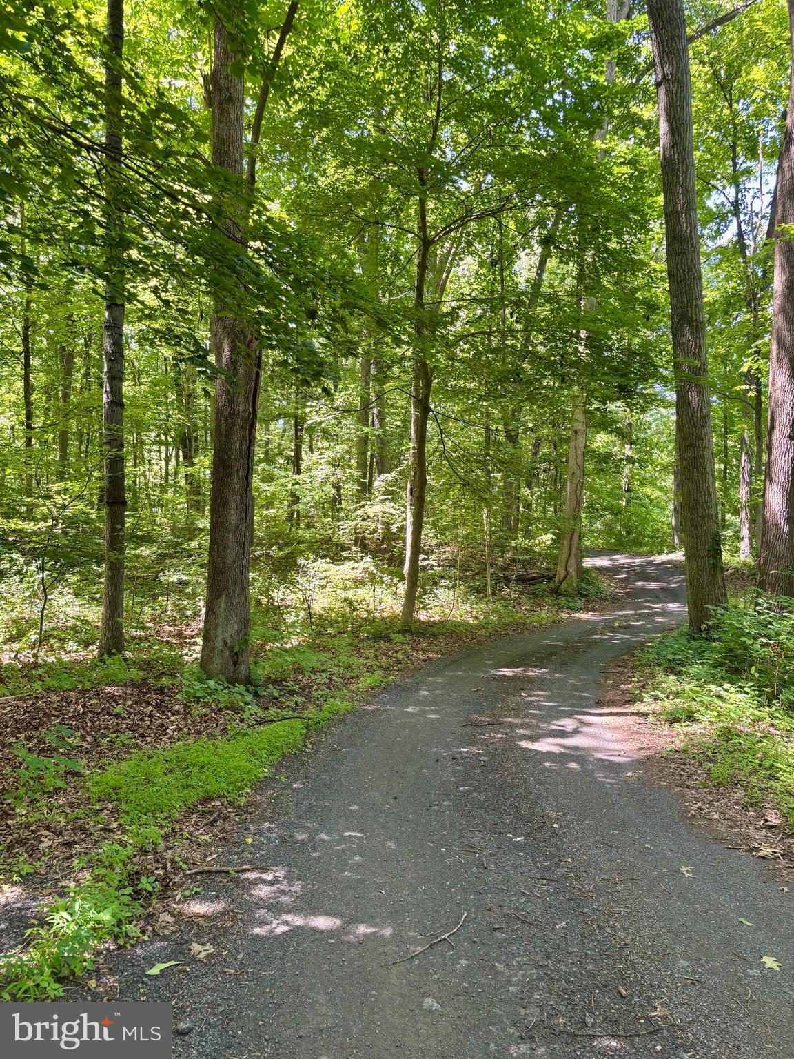 Tower Road Mertztown, PA 19539 - Photo 4 of 15
