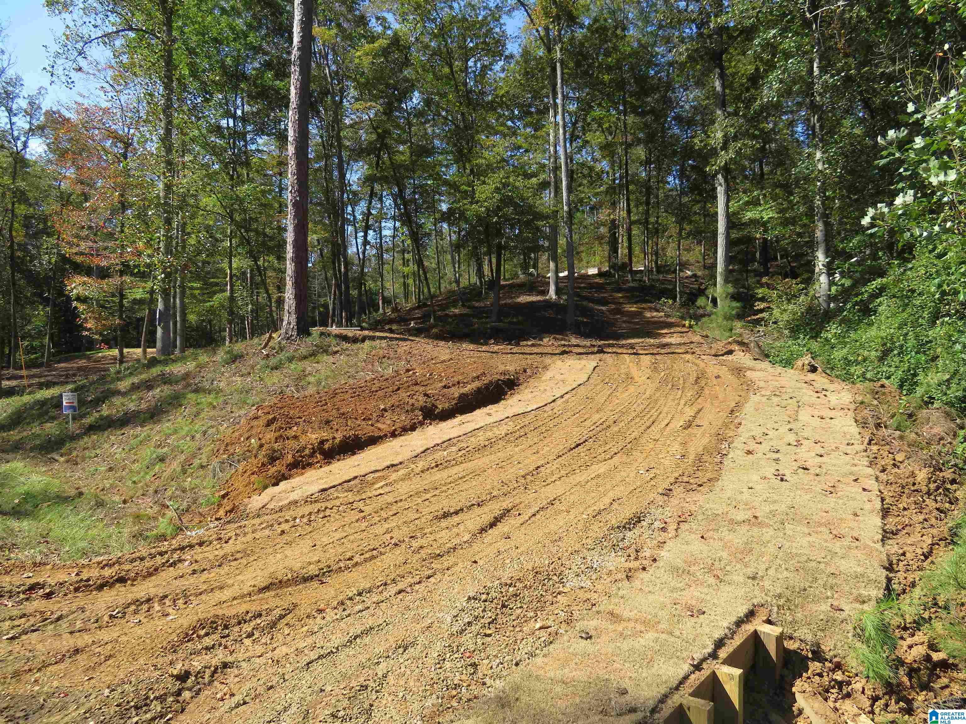 Lot 7 Preserve Road, Unit 7 Rockford, AL 35136 - Photo 9 of 11