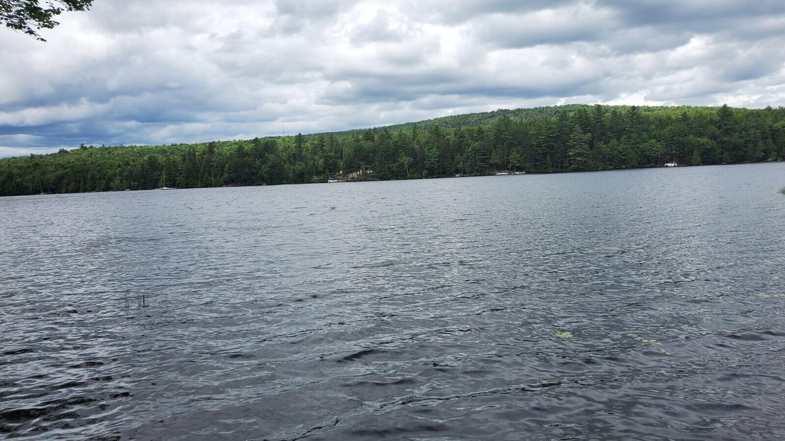 Lot 8 Trails End Road Lincoln, ME 04457 - Photo 3 of 11 20210701_135842