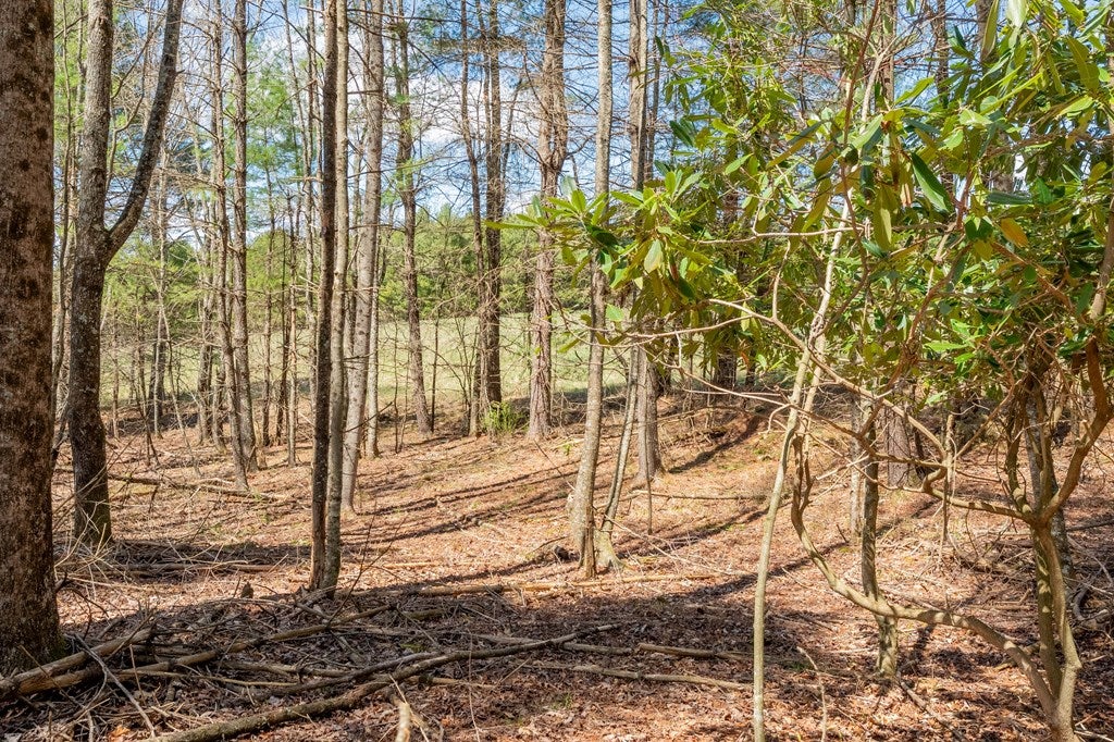 0 Windsor Road Northwest, Unit 3 Willis, VA 24380 - Photo 37 of 47 Gallery Image 37