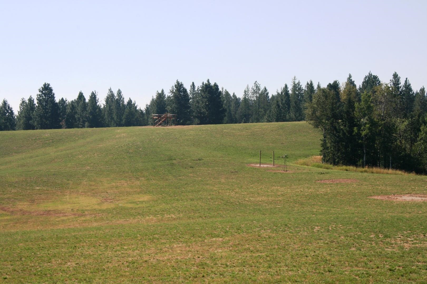 5203 Olinger Road Springdale, WA 99173 - Photo 8 of 25