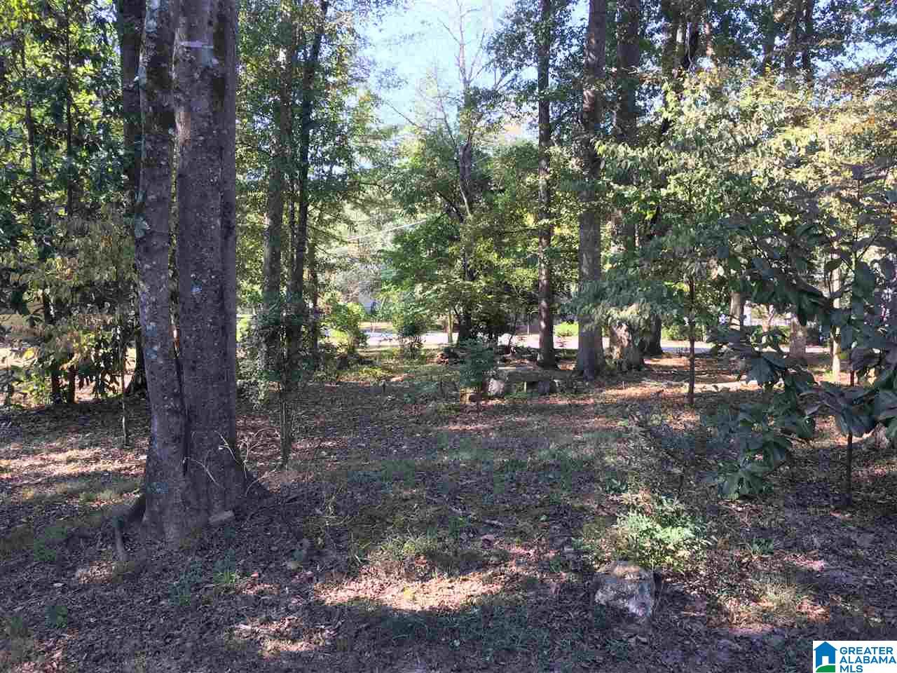 182 5th Street Ashville, AL 35953 - Photo 8 of 50