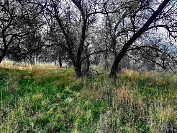 $159,999 | 4348 North B N 1130 Street, Buhl, ID 83316