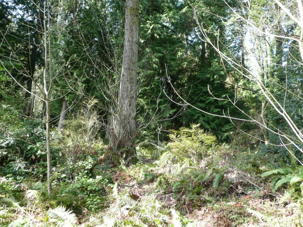 93 President Point Road Northeast Kingston, WA 98346 - Photo 2 of 9 Gallery Image 2