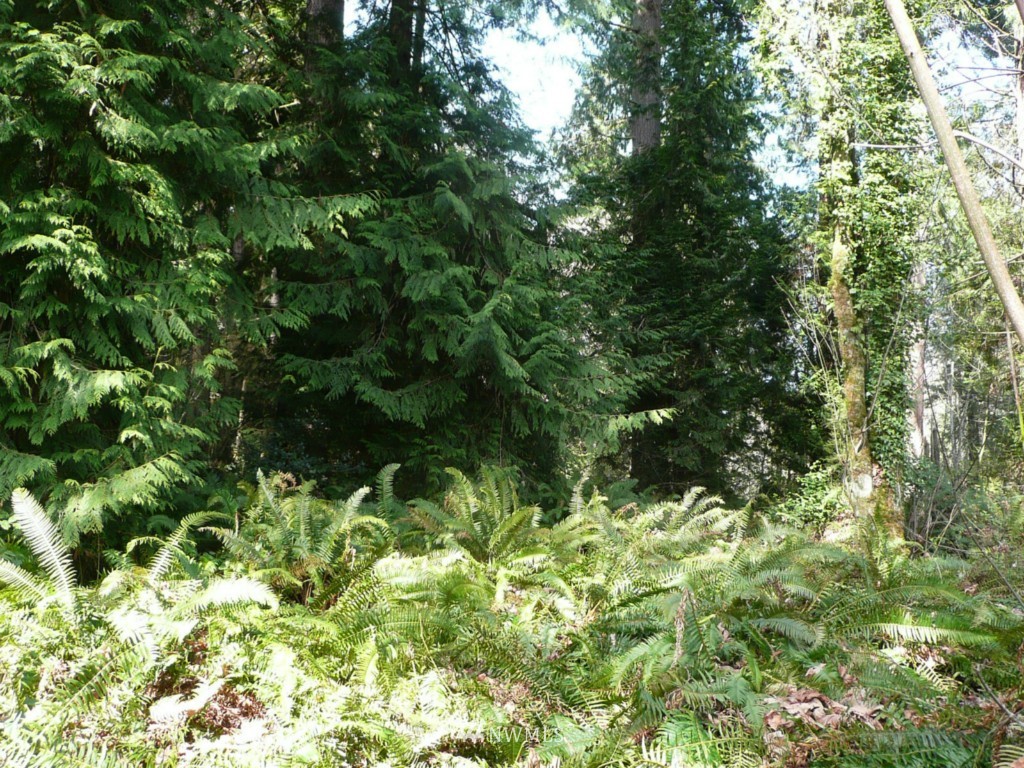 93 President Point Road Northeast Kingston, WA 98346 - Photo 3 of 9 Gallery Image 3
