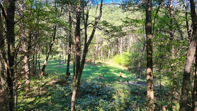 $300,000 | 0 Tipple Road, Unit TRACTS 4 & 5, Tracy City, TN 37387