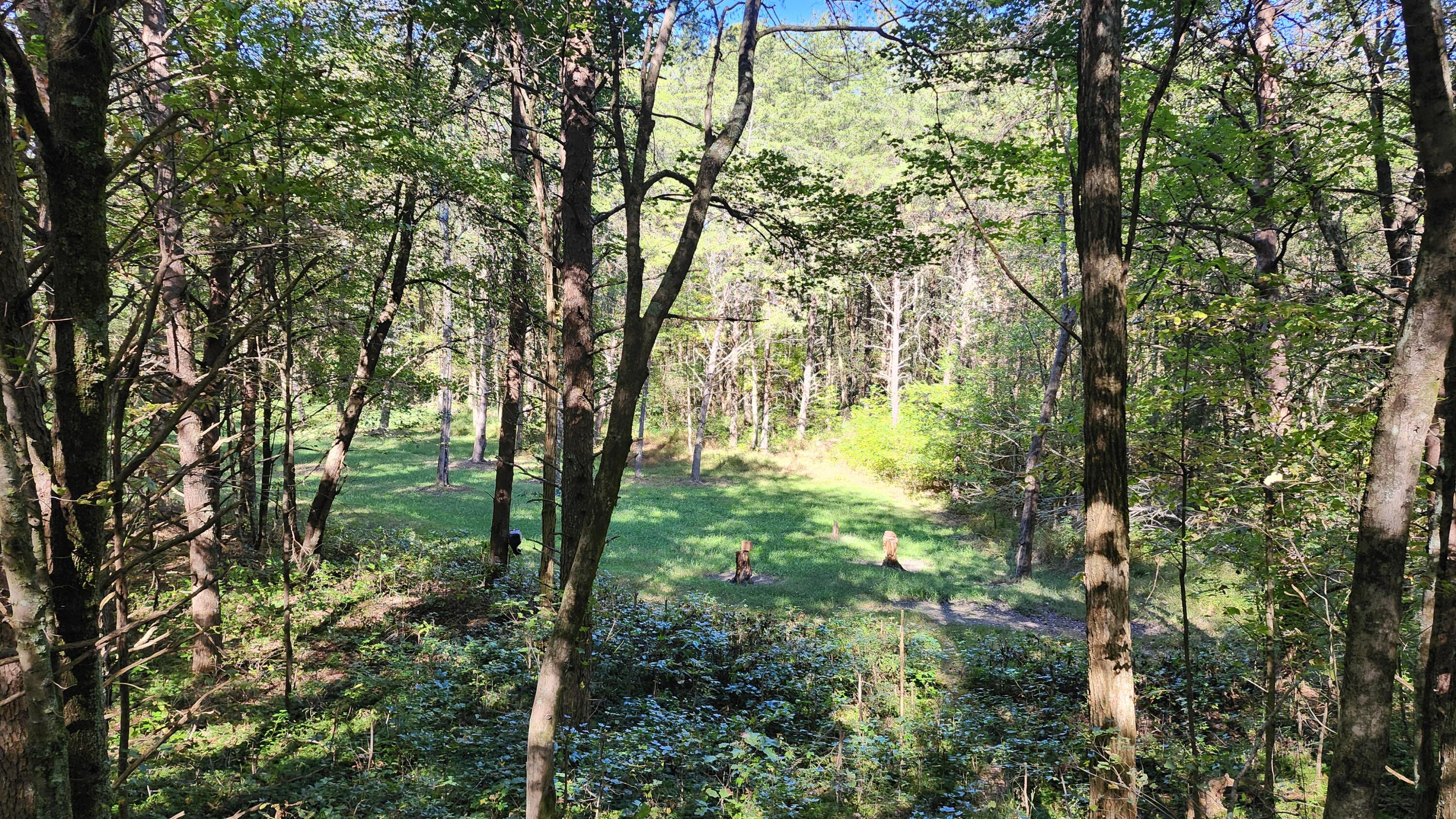 0 Tipple Road, Unit TRACTS 4 & 5 Tracy City, TN 37387 - Photo 1 of 15 20251016_103524