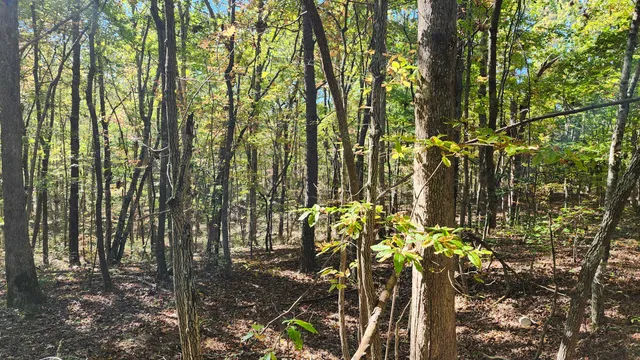 $300,000 | 0 Tipple Road, Unit TRACTS 4 & 5, Tracy City, TN 37387