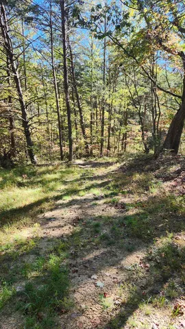 $300,000 | 0 Tipple Road, Unit TRACTS 4 & 5, Tracy City, TN 37387