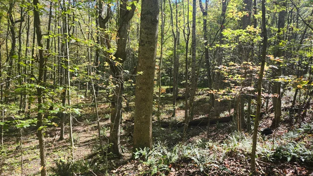 $300,000 | 0 Tipple Road, Unit TRACTS 4 & 5, Tracy City, TN 37387