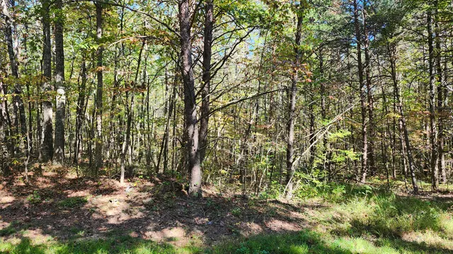 $300,000 | 0 Tipple Road, Unit TRACTS 4 & 5, Tracy City, TN 37387