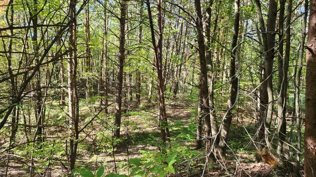 $300,000 | 0 Tipple Road, Unit TRACTS 4 & 5, Tracy City, TN 37387