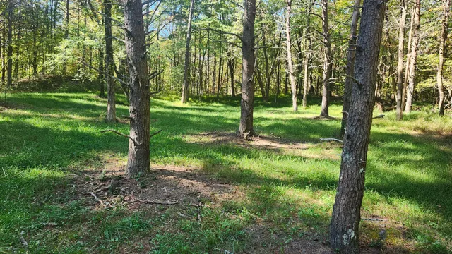 $300,000 | 0 Tipple Road, Unit TRACTS 4 & 5, Tracy City, TN 37387