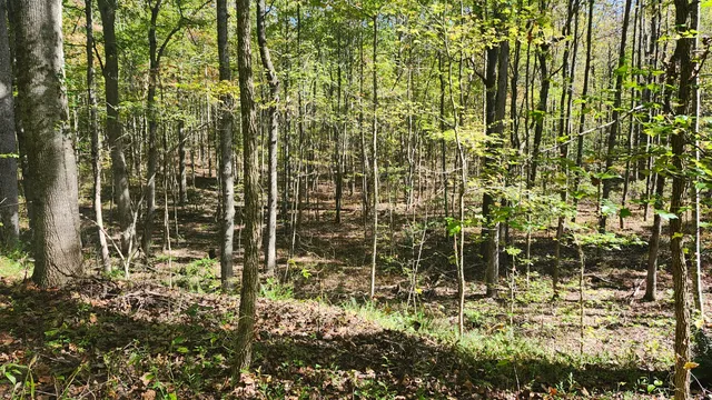 $300,000 | 0 Tipple Road, Unit TRACTS 4 & 5, Tracy City, TN 37387