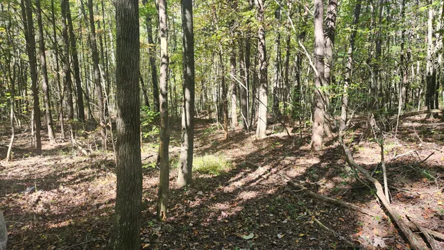 $300,000 | 0 Tipple Road, Unit TRACTS 4 & 5, Tracy City, TN 37387