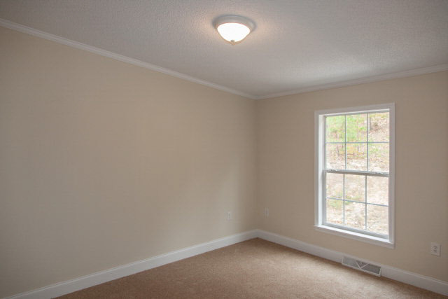 19900 Huckleberry Road Elkton, VA 22827 - Photo 10 of 20 Gallery Image 10