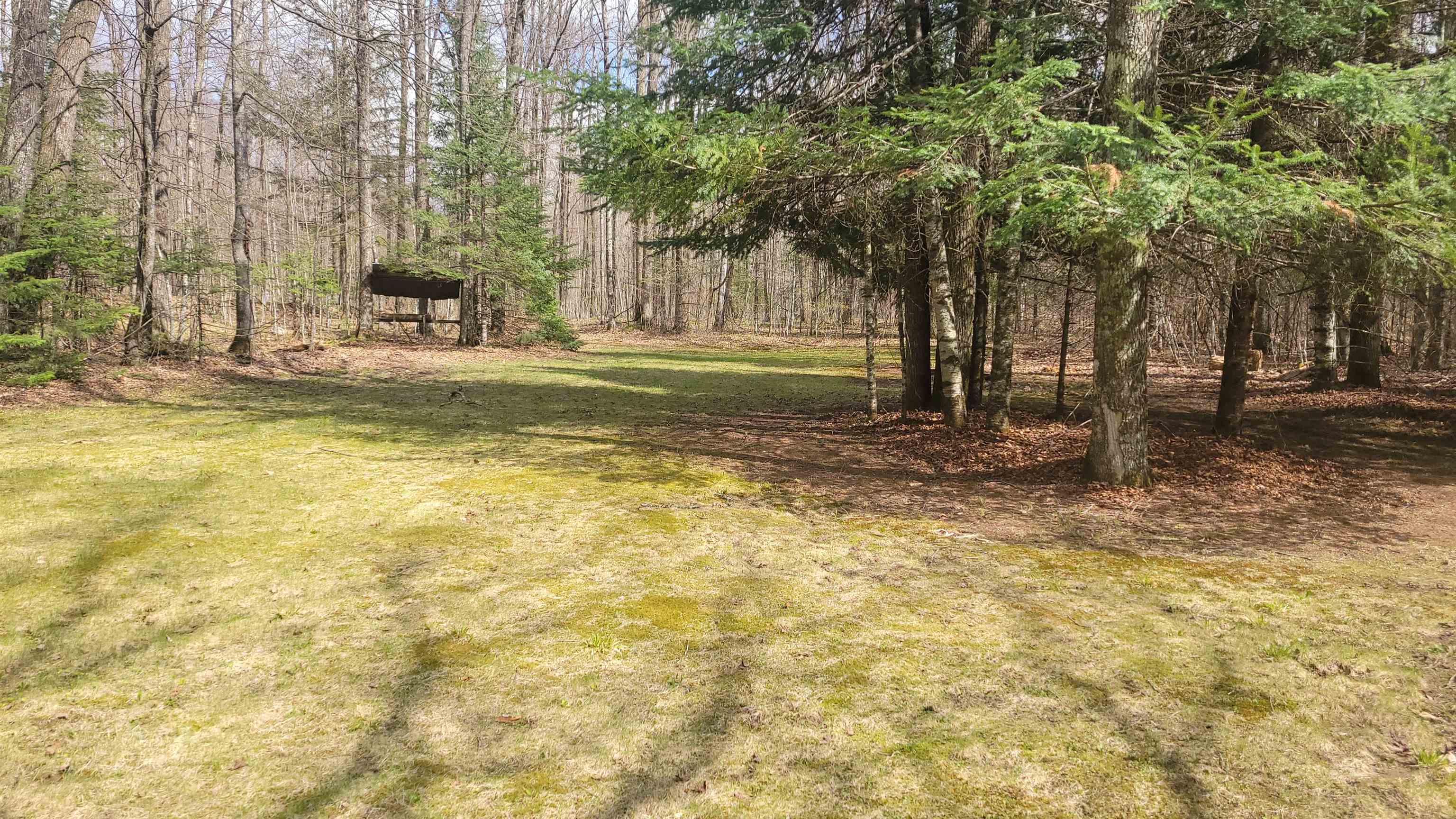 N10803 Walleye Road Pearson, WI 54462 - Photo 25 of 36
