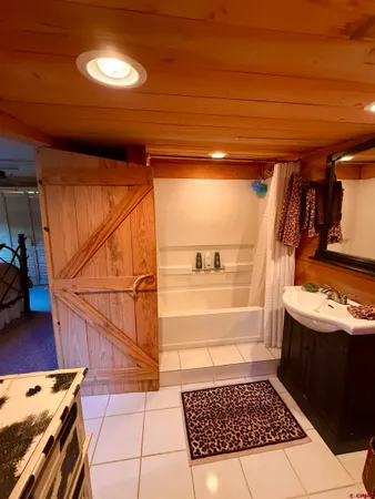 a bathroom with a sink and a shower