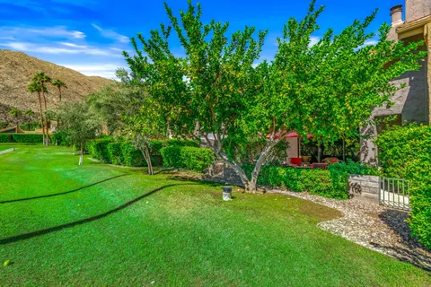 a view of a backyard with palm trees