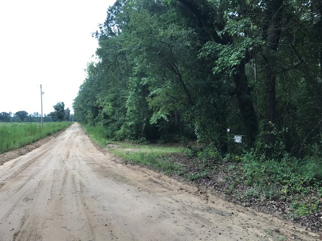 0 Surrey Race Road Salley, SC 29137 - Photo 10 of 14