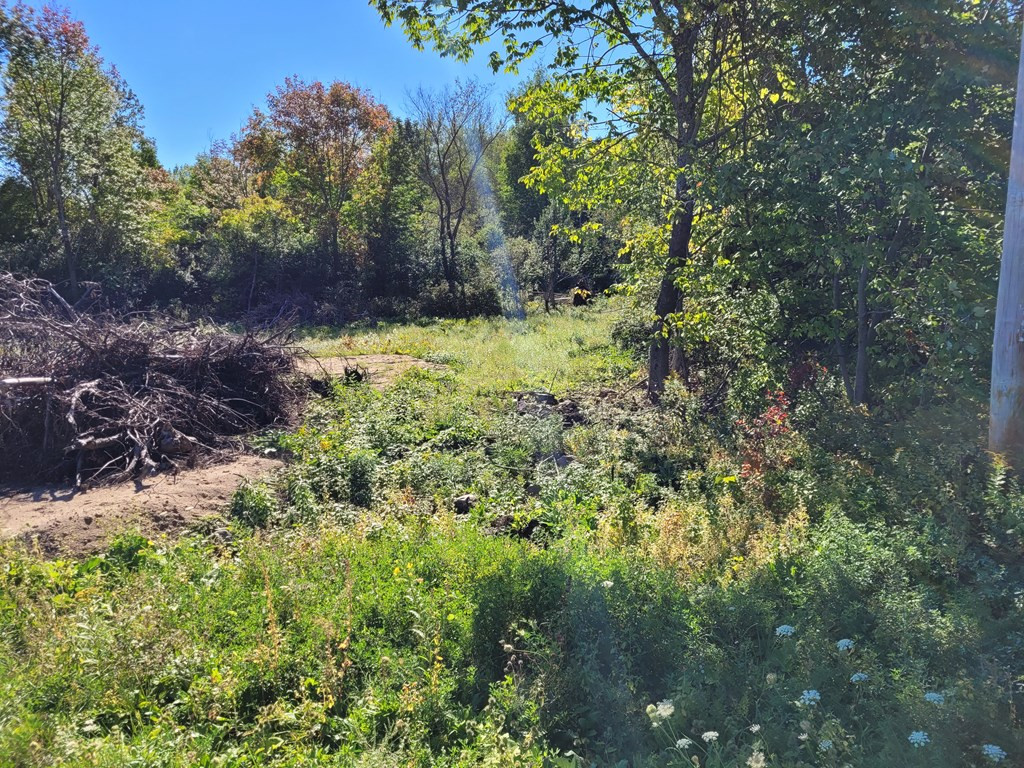 0 Rand Hill Road Plattsburgh, NY 12901 - Photo 7 of 10 Gallery Image 7