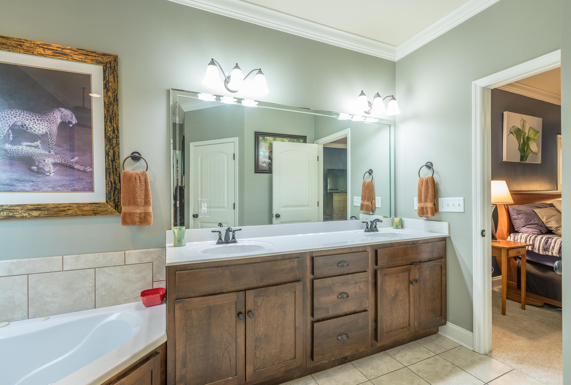 790 Windrush Loop Chattanooga, TN 37421 - Photo 26 of 47 790 Windrush Loop HD-36