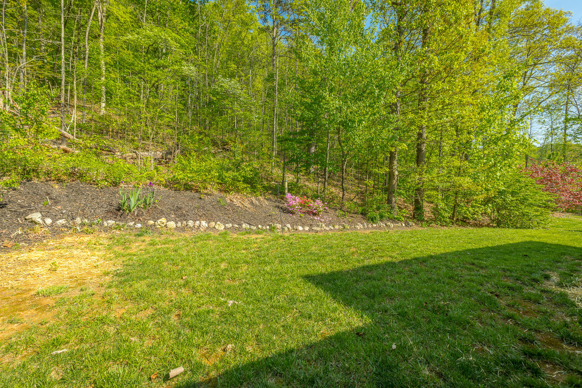 790 Windrush Loop Chattanooga, TN 37421 - Photo 45 of 47 790 Windrush Loop HD-60