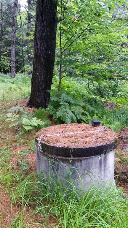 75 Campground Road North Anson, ME 04958 - Photo 21 of 31 Dug well cover with concrete tile.