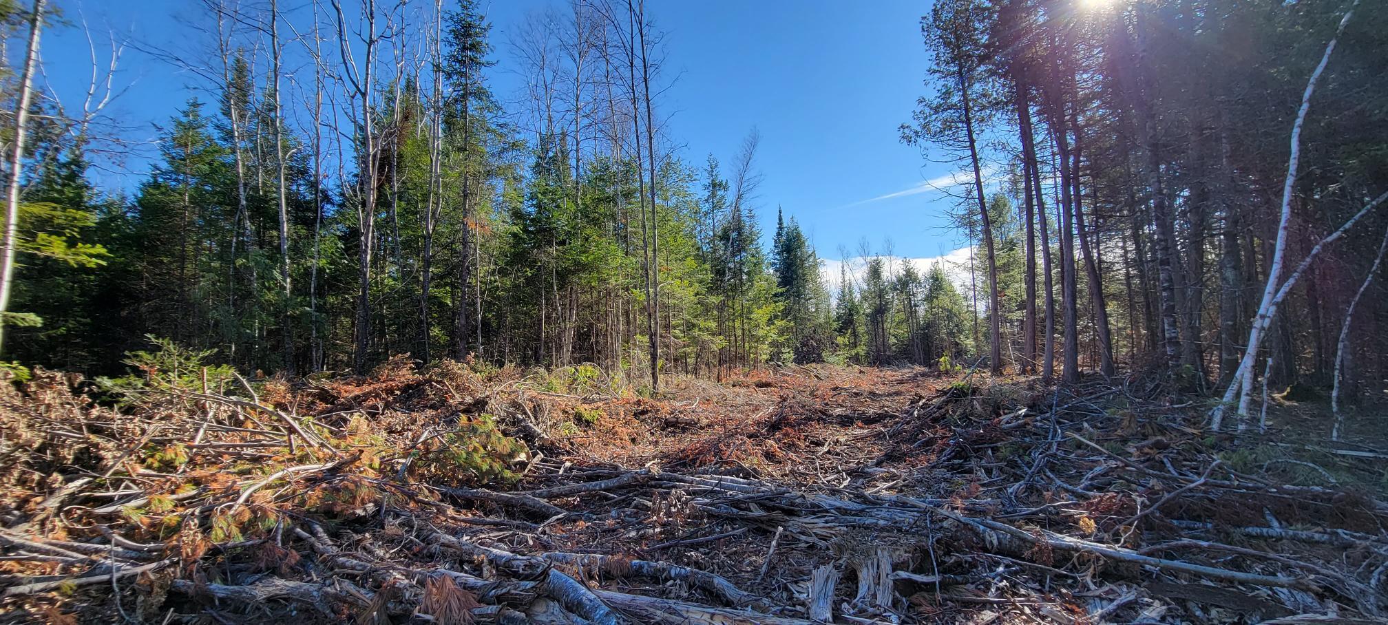 25-22 Back Troy Road Troy, ME 04987 - Photo 27 of 43 Lot 13