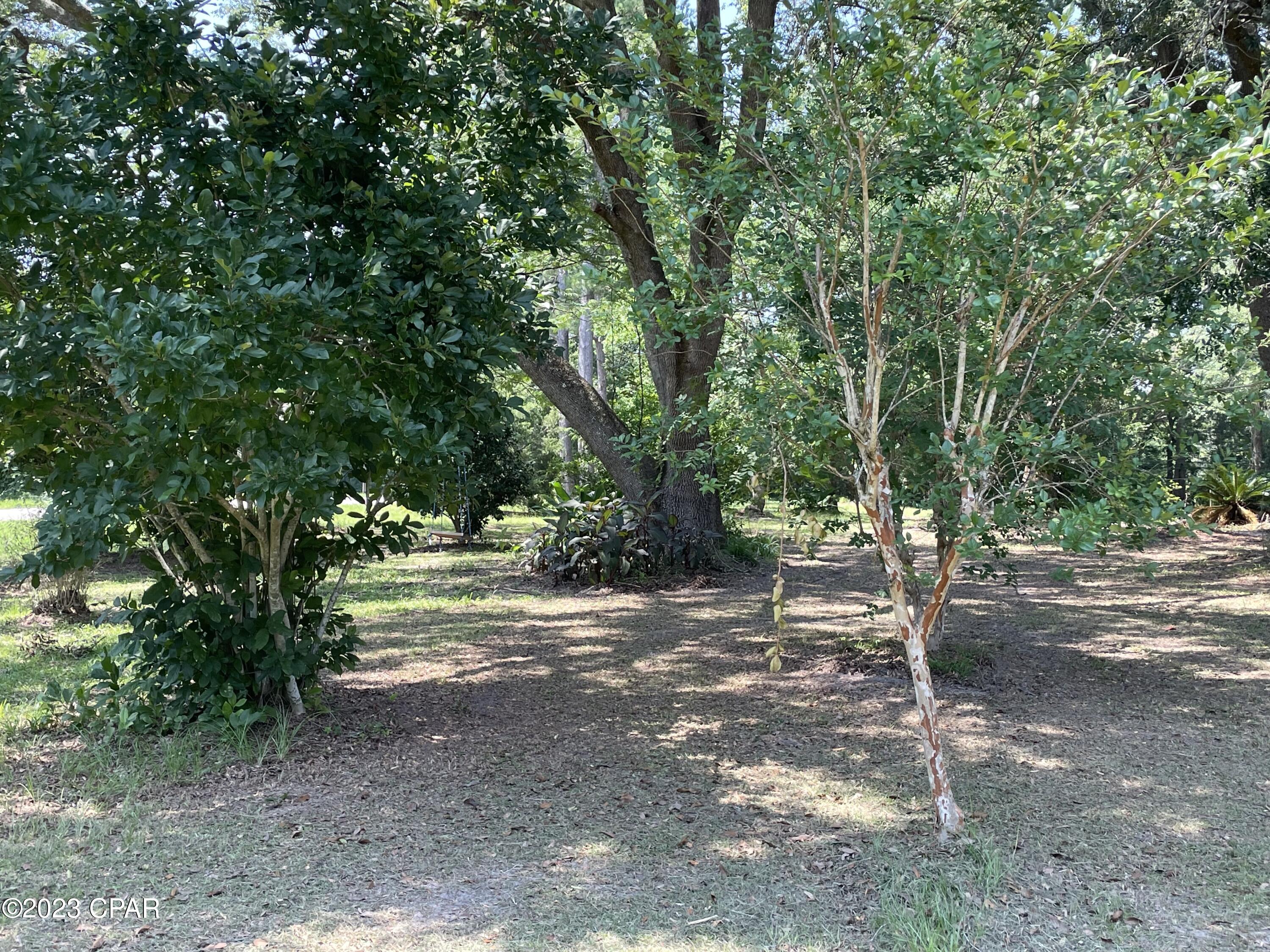 3163 River Road Vernon, FL 32462 - Photo 48 of 48