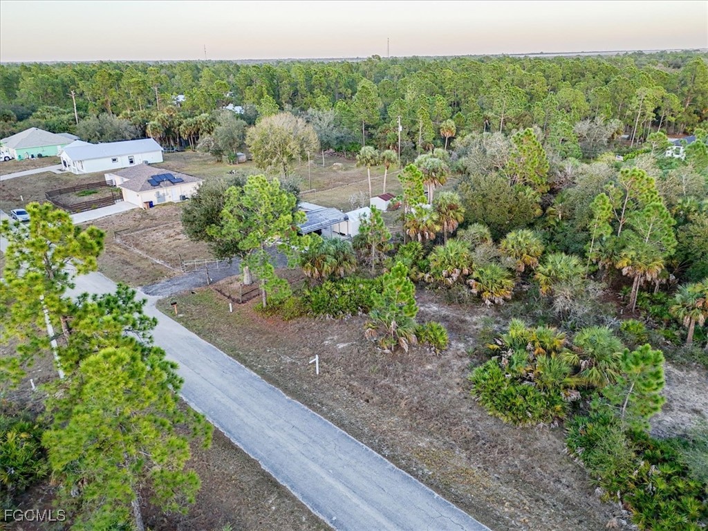 2310 Louis Avenue Alva, FL 33920 - Photo 29 of 32
