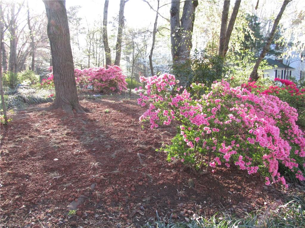 1714 Scarborough Road High Point, NC 27265 - Photo 22 of 24 Gallery Image 22