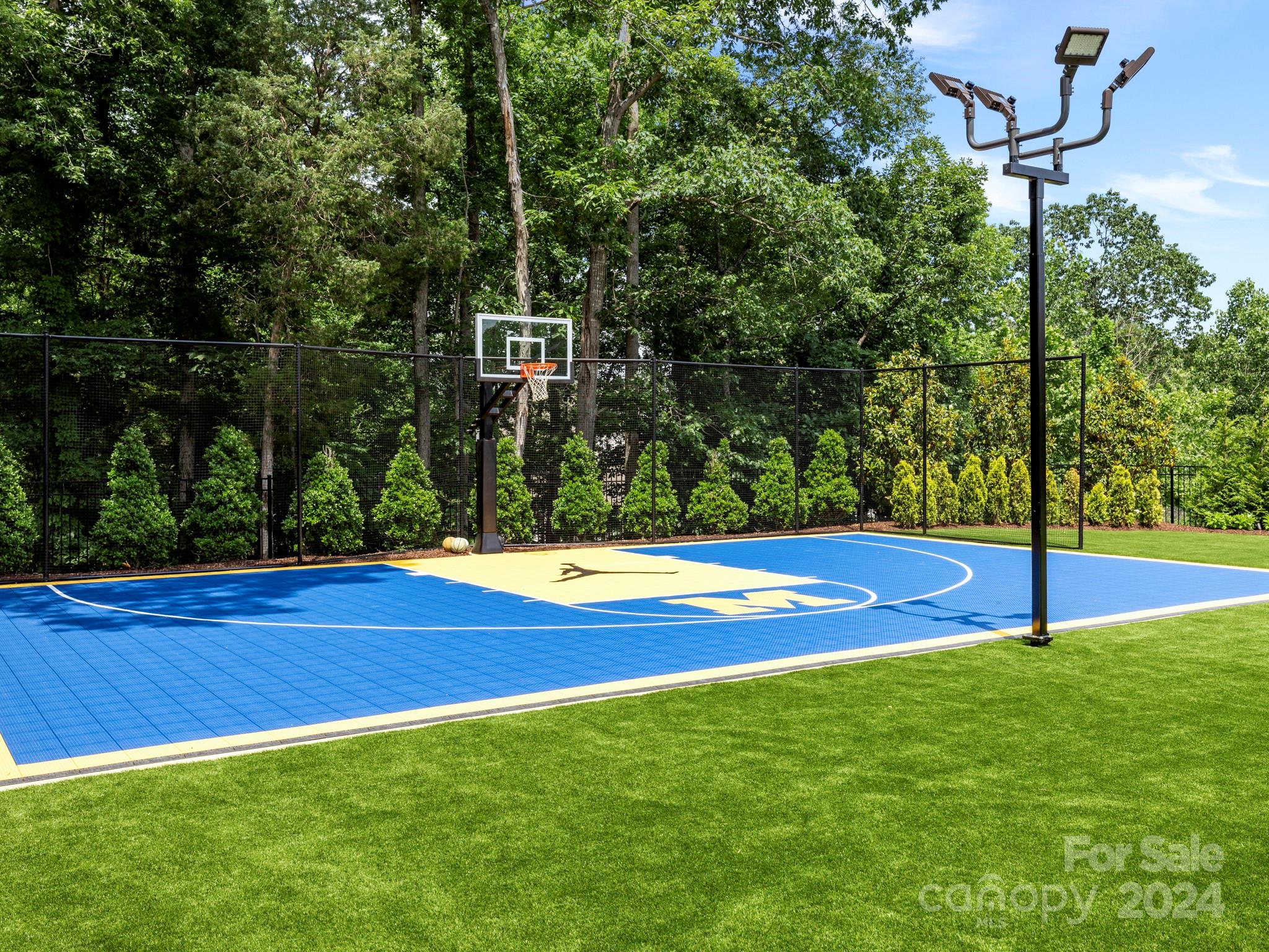 16520 Reinsch Drive Davidson, NC 28036 - Photo 29 of 37 a view of a basketball court