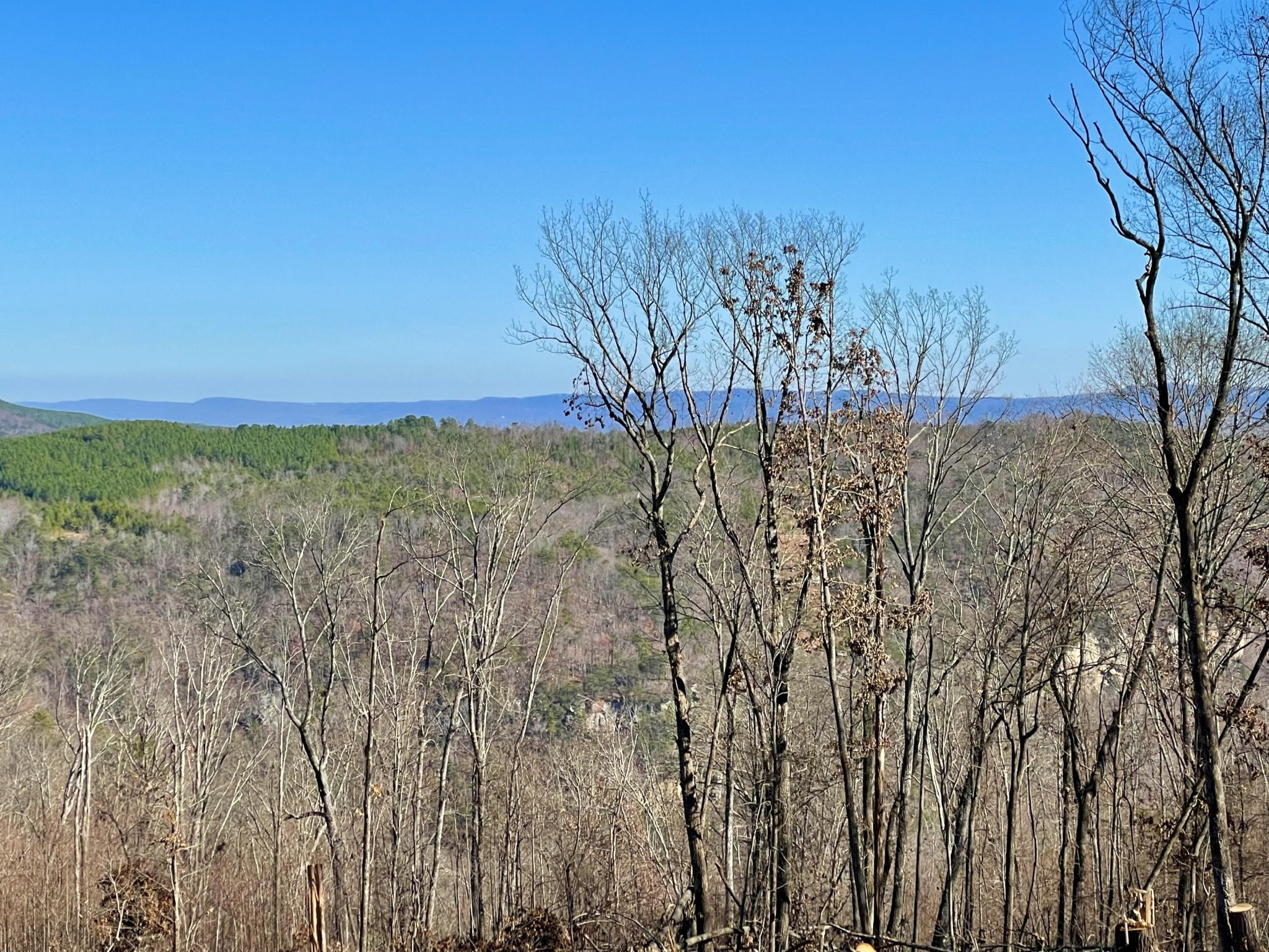718 Wheeler Road Dunlap, TN 37327 - Photo 1 of 21 Gallery Image 1
