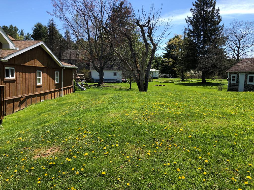 4659 Forest Road Cooksburg, PA 16217 - Photo 3 of 20 a front view of a house with yard and tree