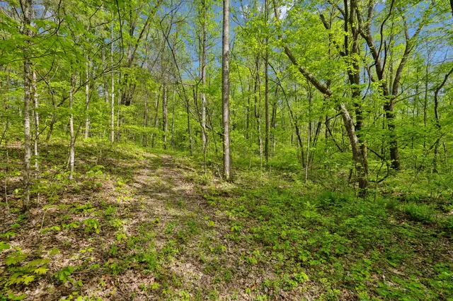 $750,000 | 10924 Rials Branch Road, Bon Aqua, TN 37025