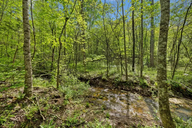 $750,000 | 10924 Rials Branch Road, Bon Aqua, TN 37025