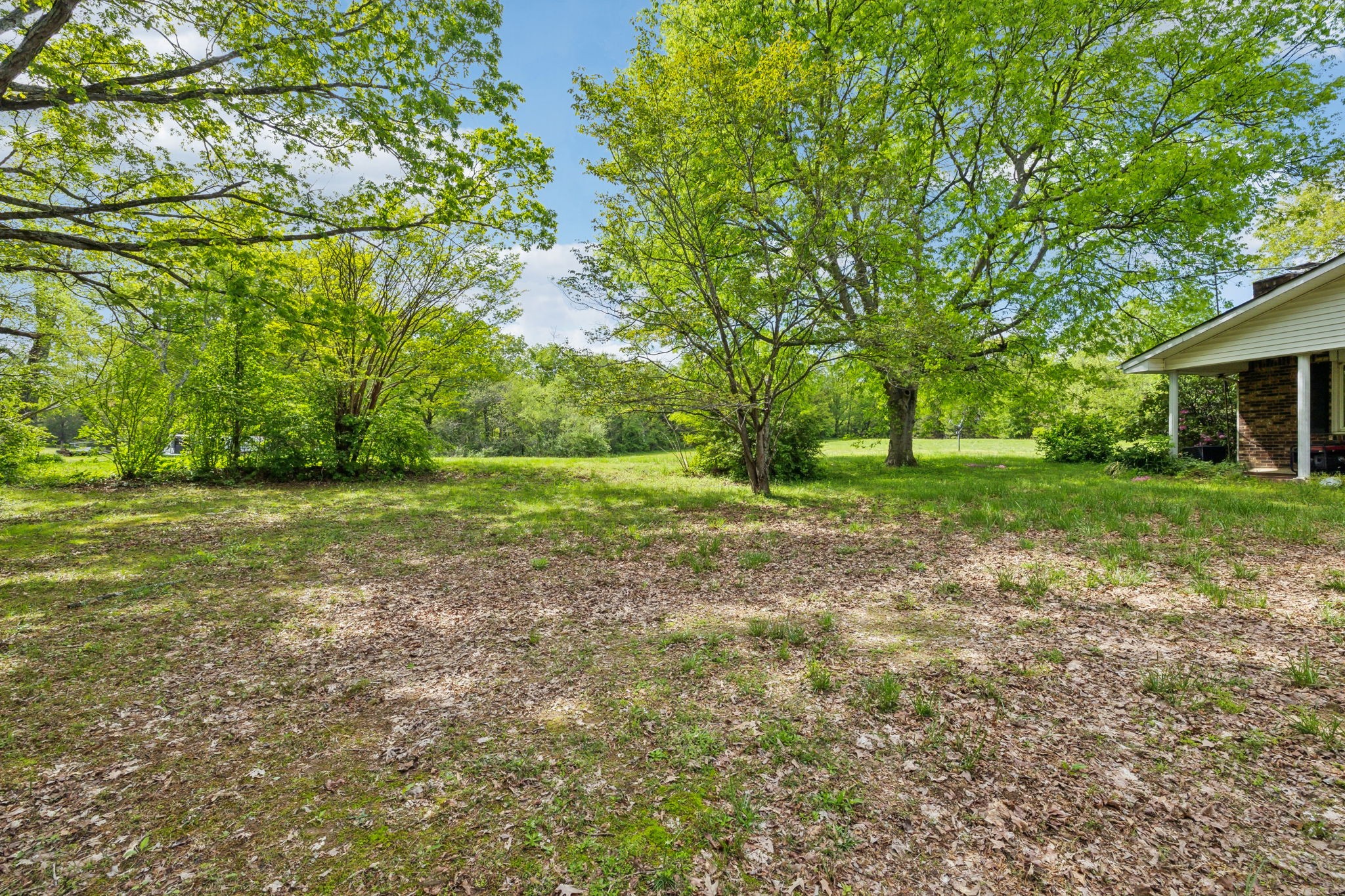 10924 Rials Branch Road Bon Aqua, TN 37025 - Photo 6 of 34 a view of a yard with a tree