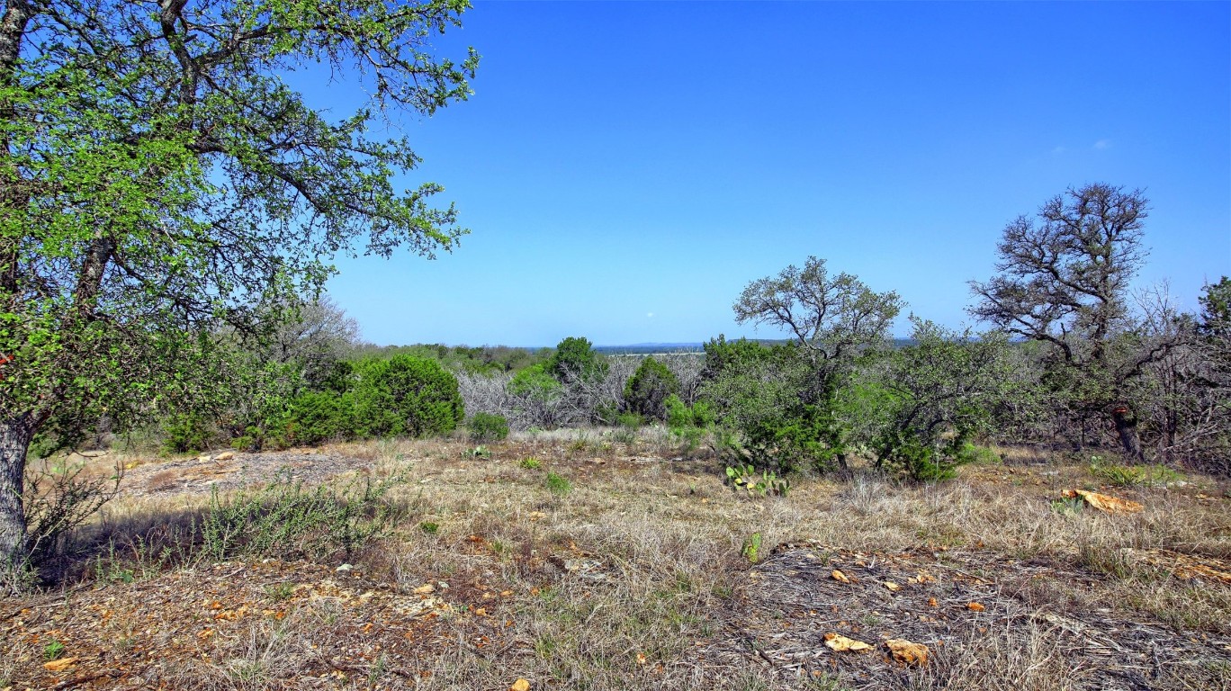0 Mormon Mill Road Marble Falls, TX 78654 - Photo 18 of 36 a view of a yard with a tree