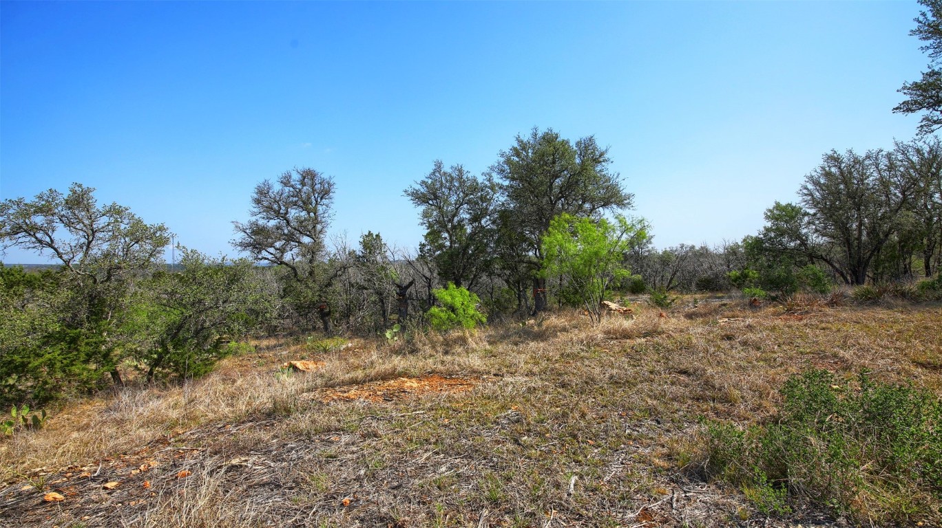 0 Mormon Mill Road Marble Falls, TX 78654 - Photo 19 of 36 a view of a forest with trees in the background